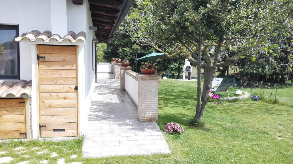 Il Piccolo Rifugio - L'Angoletto Palidoro Dış mekan fotoğraf