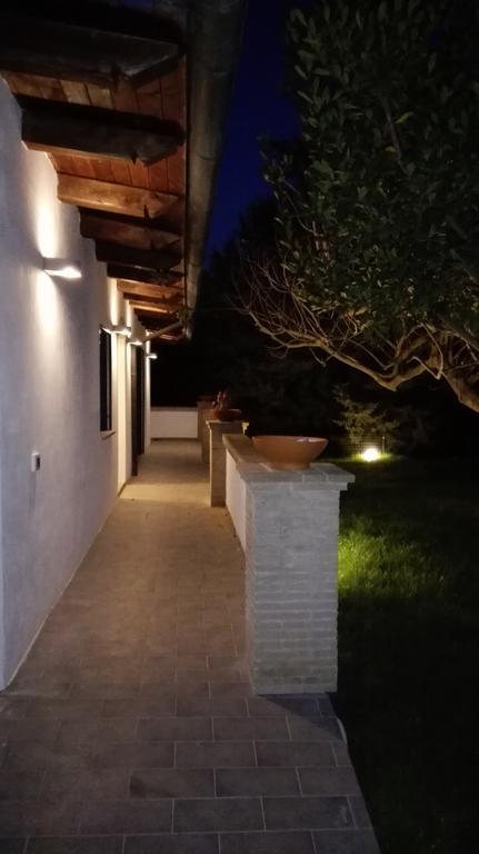 Il Piccolo Rifugio - L'Angoletto Palidoro Oda fotoğraf