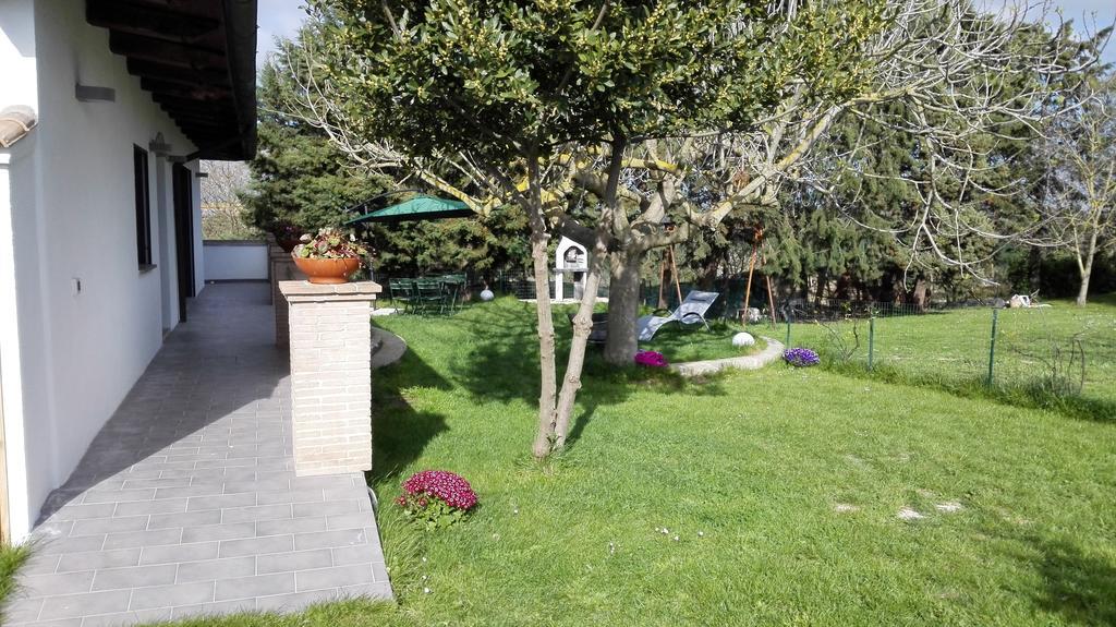 Il Piccolo Rifugio - L'Angoletto Palidoro Oda fotoğraf