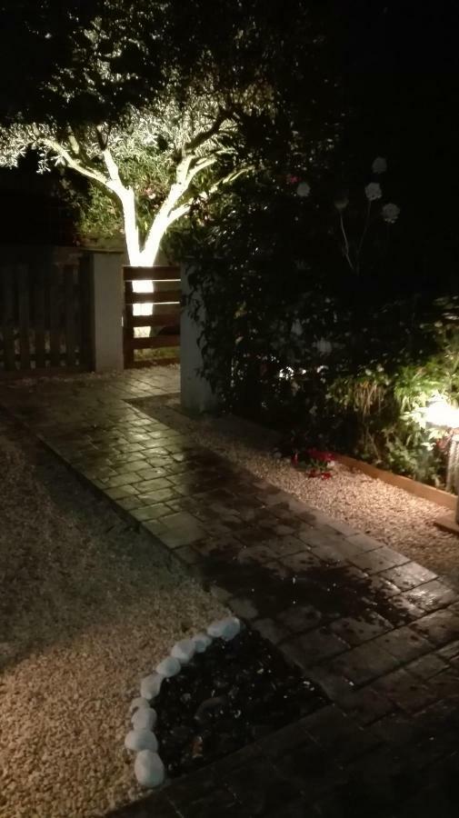 Il Piccolo Rifugio - L'Angoletto Palidoro Dış mekan fotoğraf